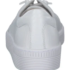 Gabor 23.331, Schnürschuhe, Damen, weiss (ice)